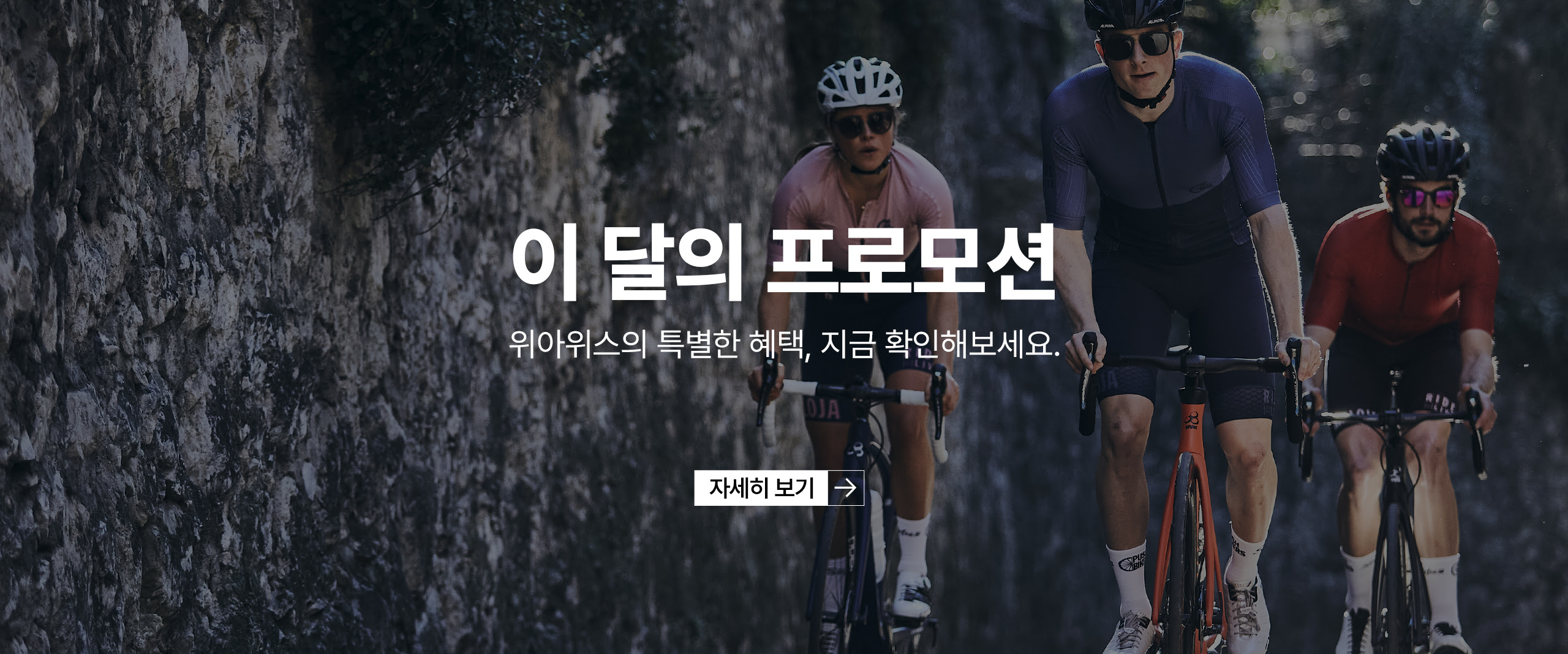 WIAWIS Bikes