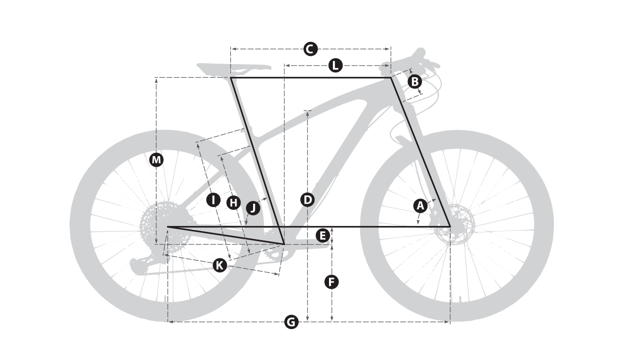 geometry image